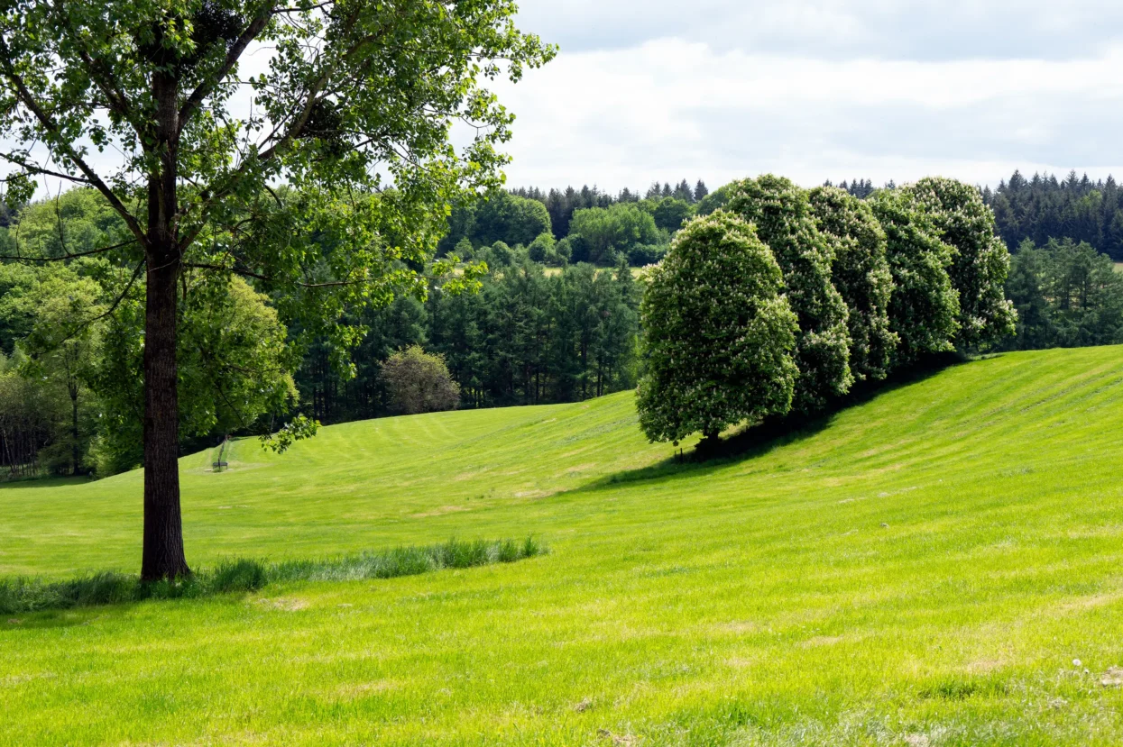 Mullerthal etappe 5