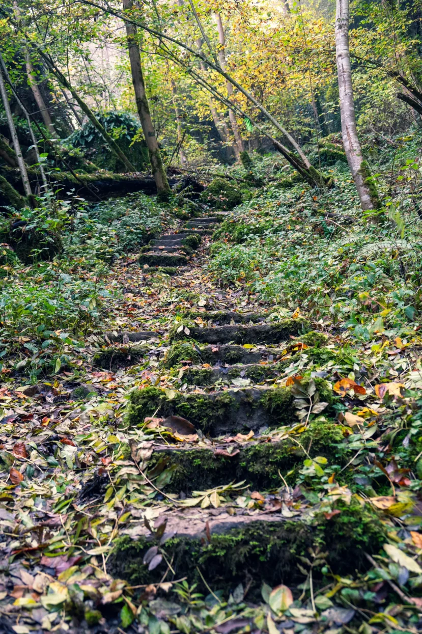 Mullerthal Trail