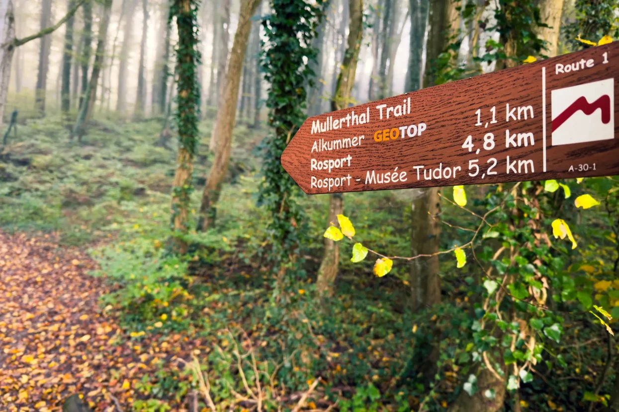 Mullerthal Trail
