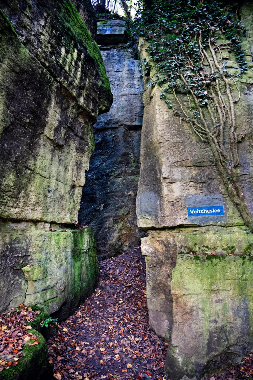 Mullerthal Veitcheslee