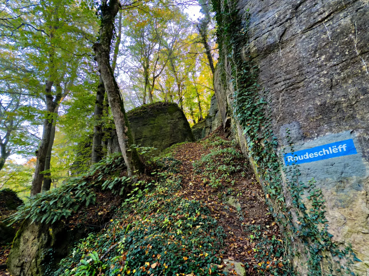 Mullerthal Roudeschlëff