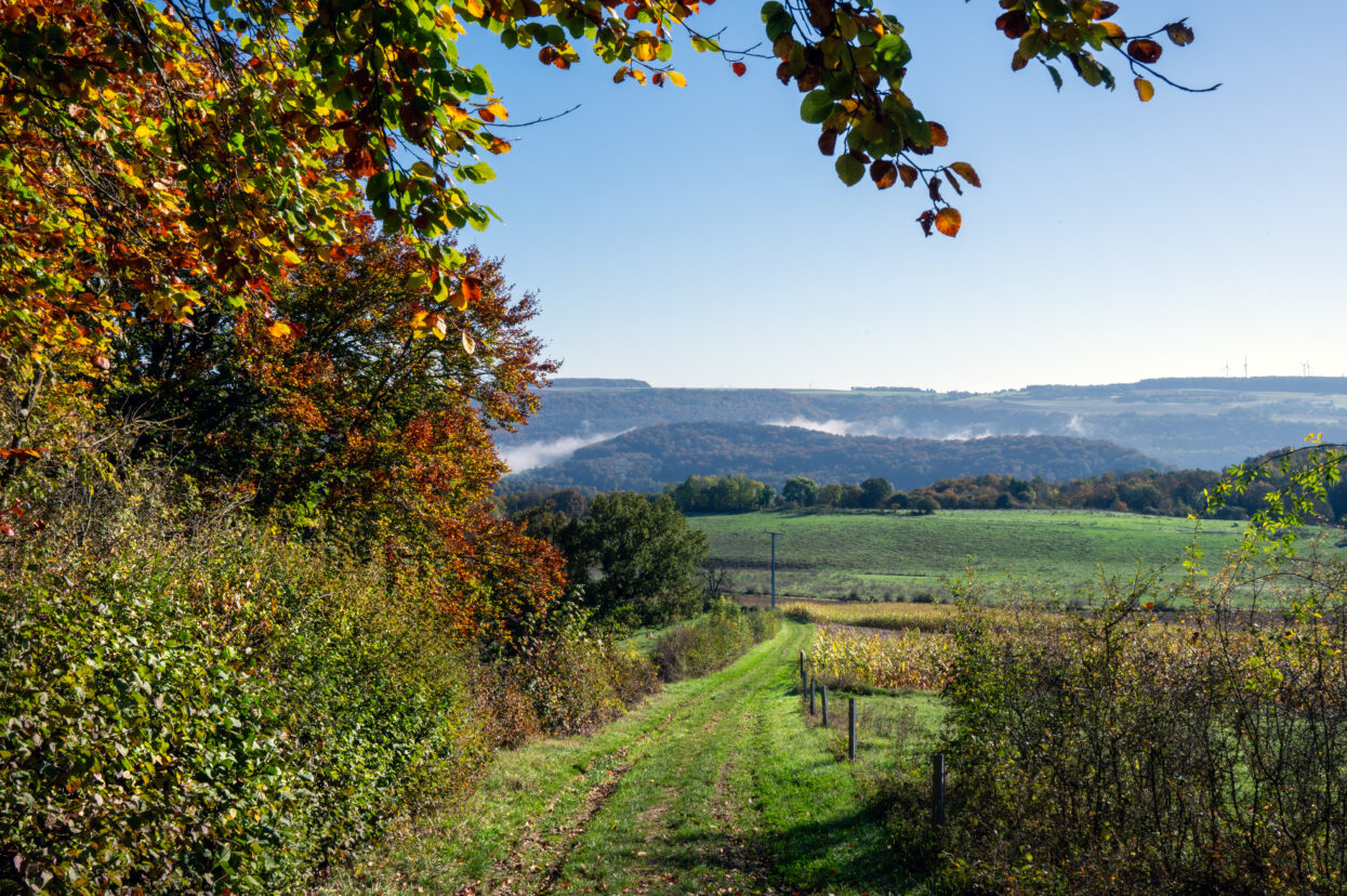 Mullerthal e1 28