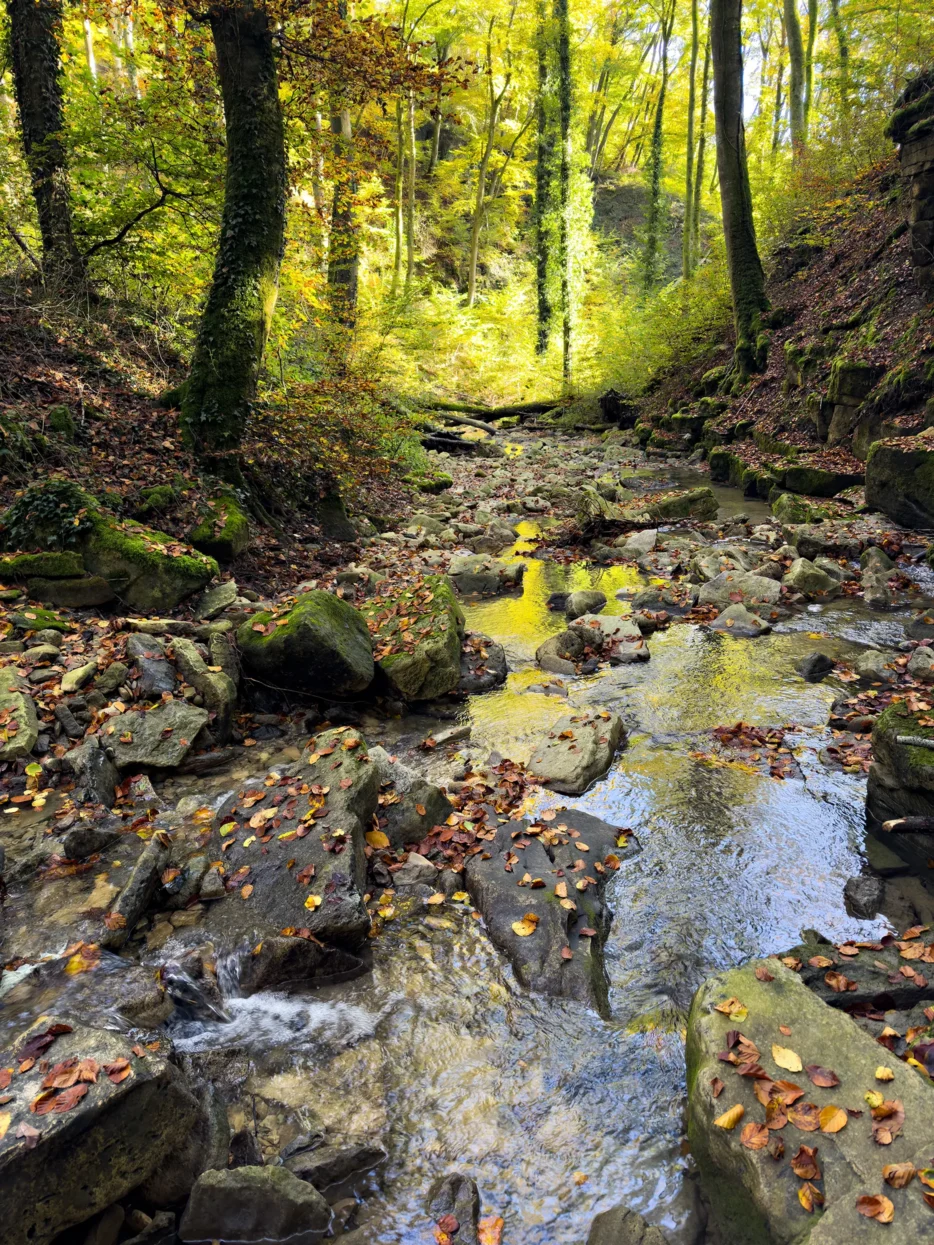 Girsterbaach, Mullerthal