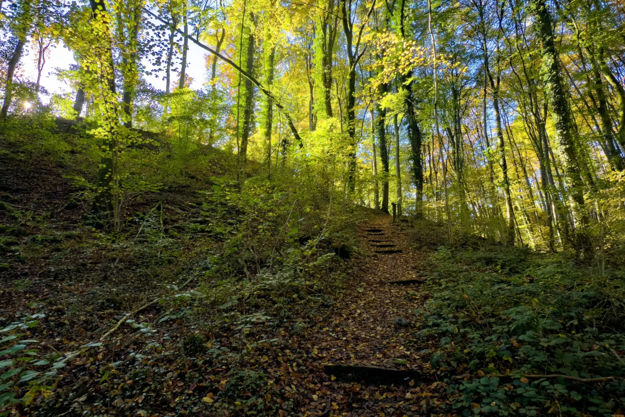 Mullerthal trail