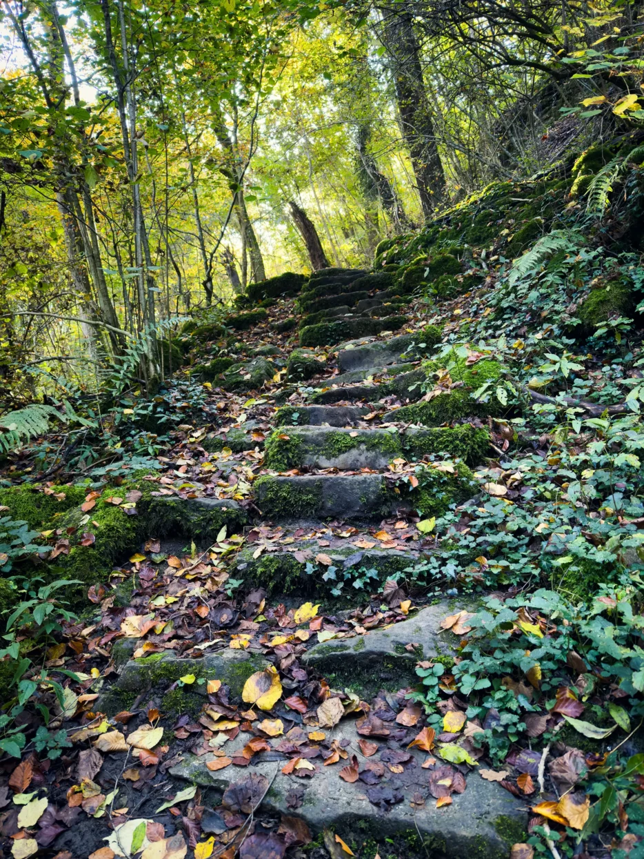 Mullerthal trail