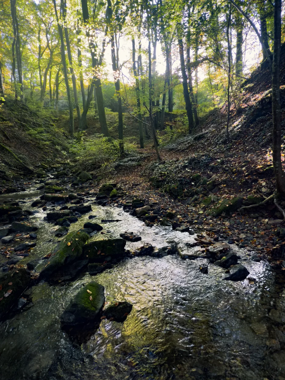 Girstergriecht, Mullerthal