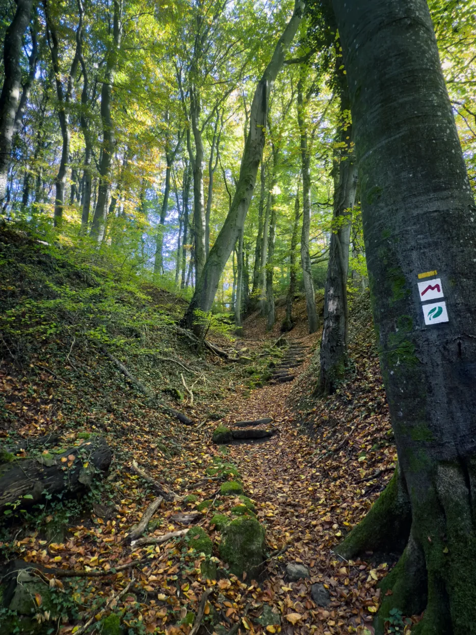 Mullerthal trail