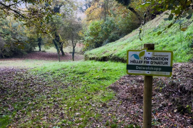 Natuurreservaat Déiwelskopp