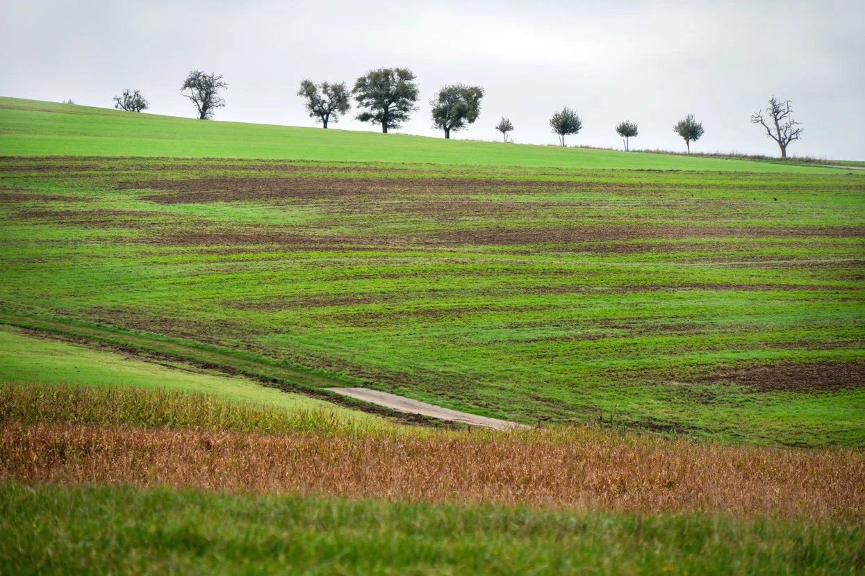 Mullerthal trail bij Herborn