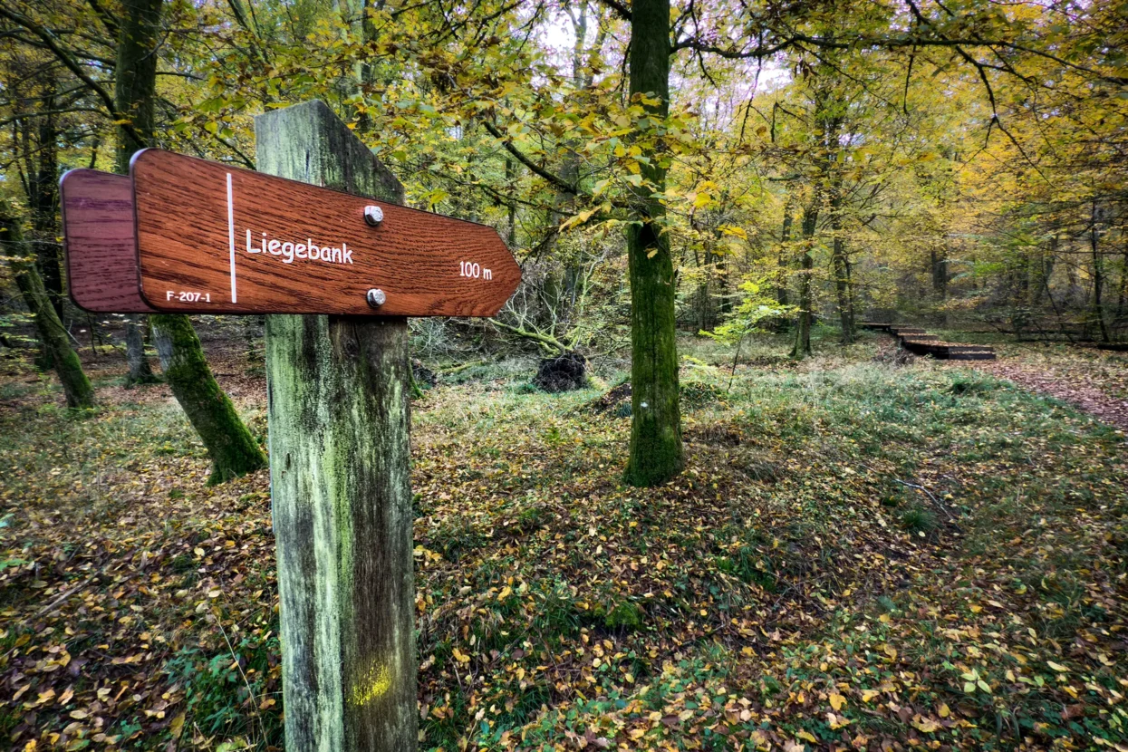 Liegebank in het Hierberbësch natuurreservaat