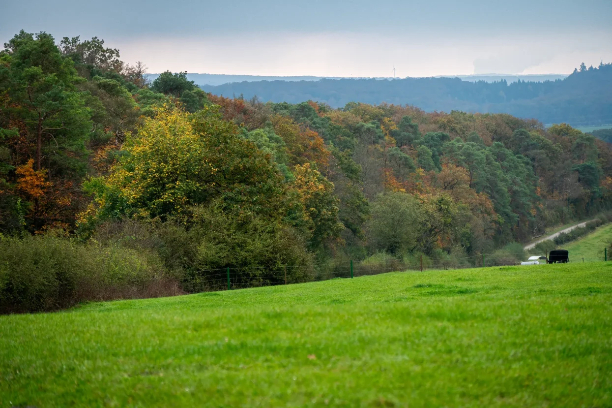Mullerthal trail