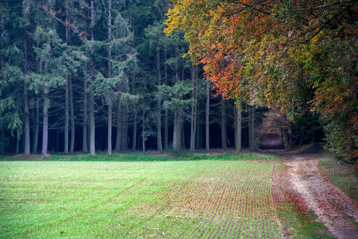 Mullerthal trail