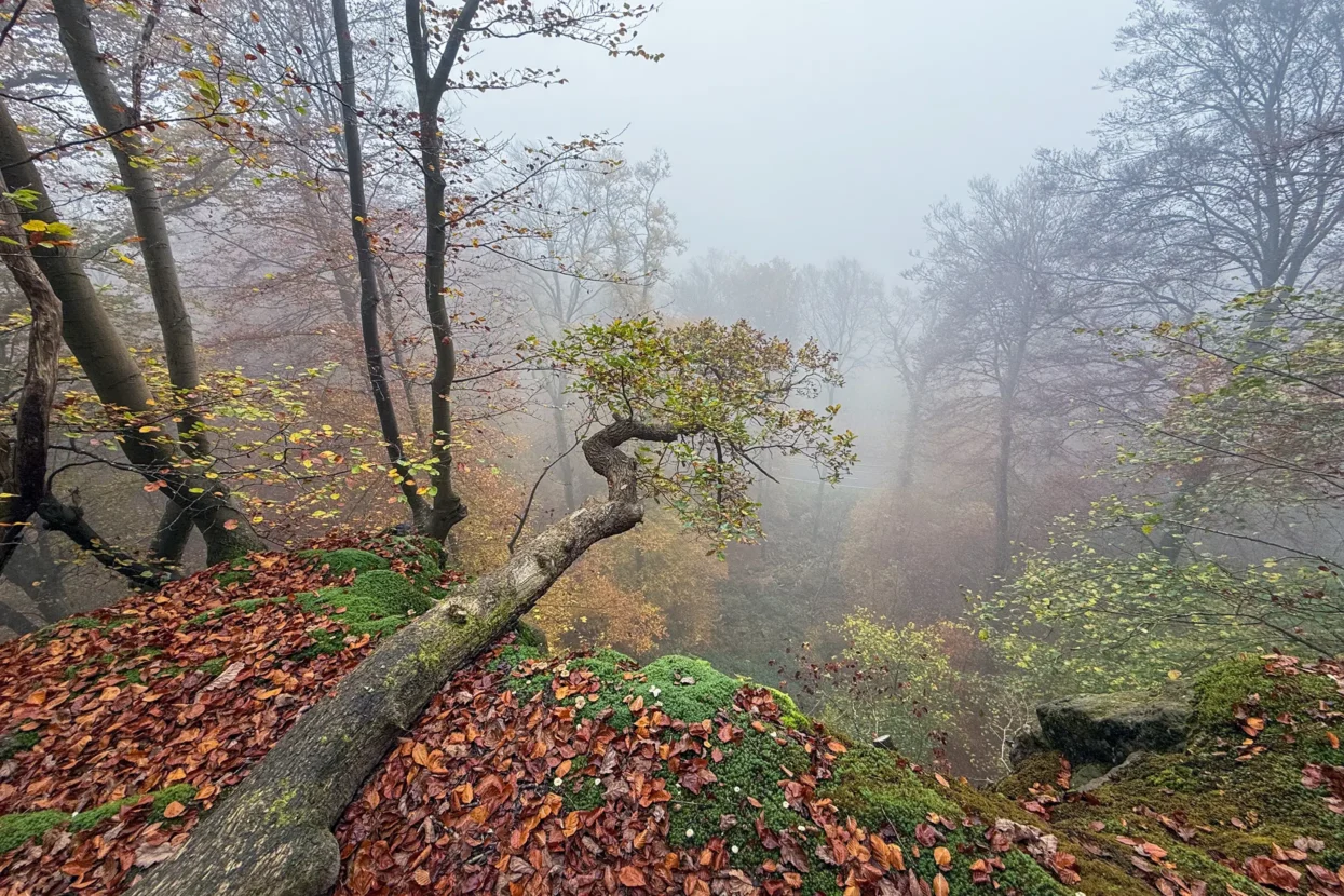 Mullerthal Eilebuerg