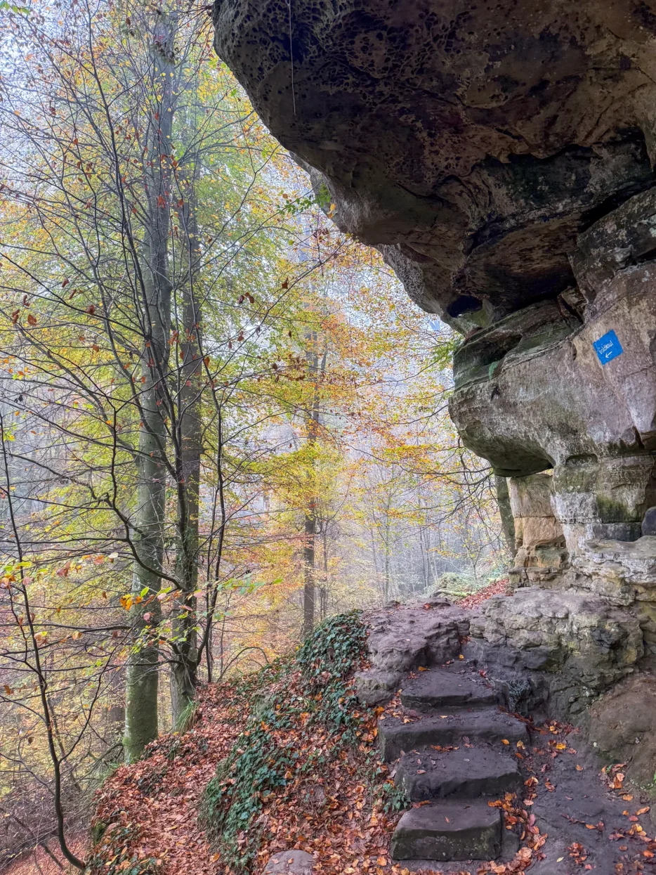 Mullerthal Goldkaul