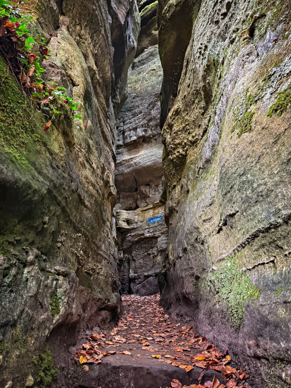 Rittergang Mullerthal