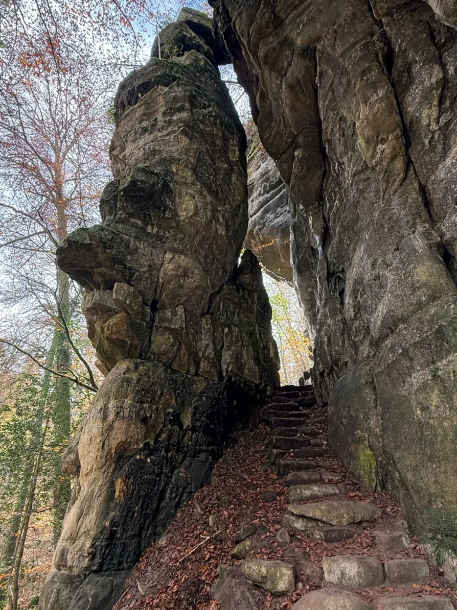 Mullerthal Route 2
