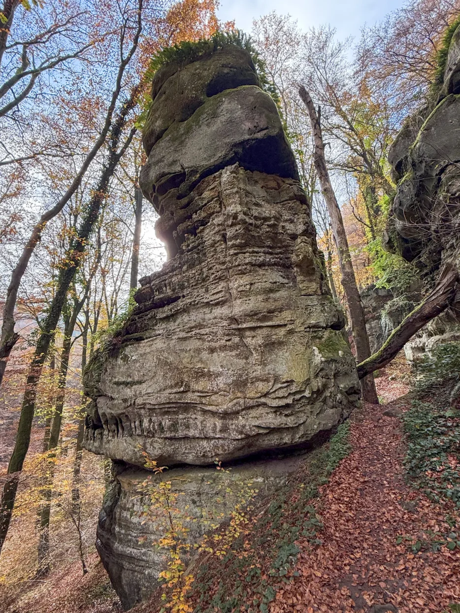 Mullerthal Route 2