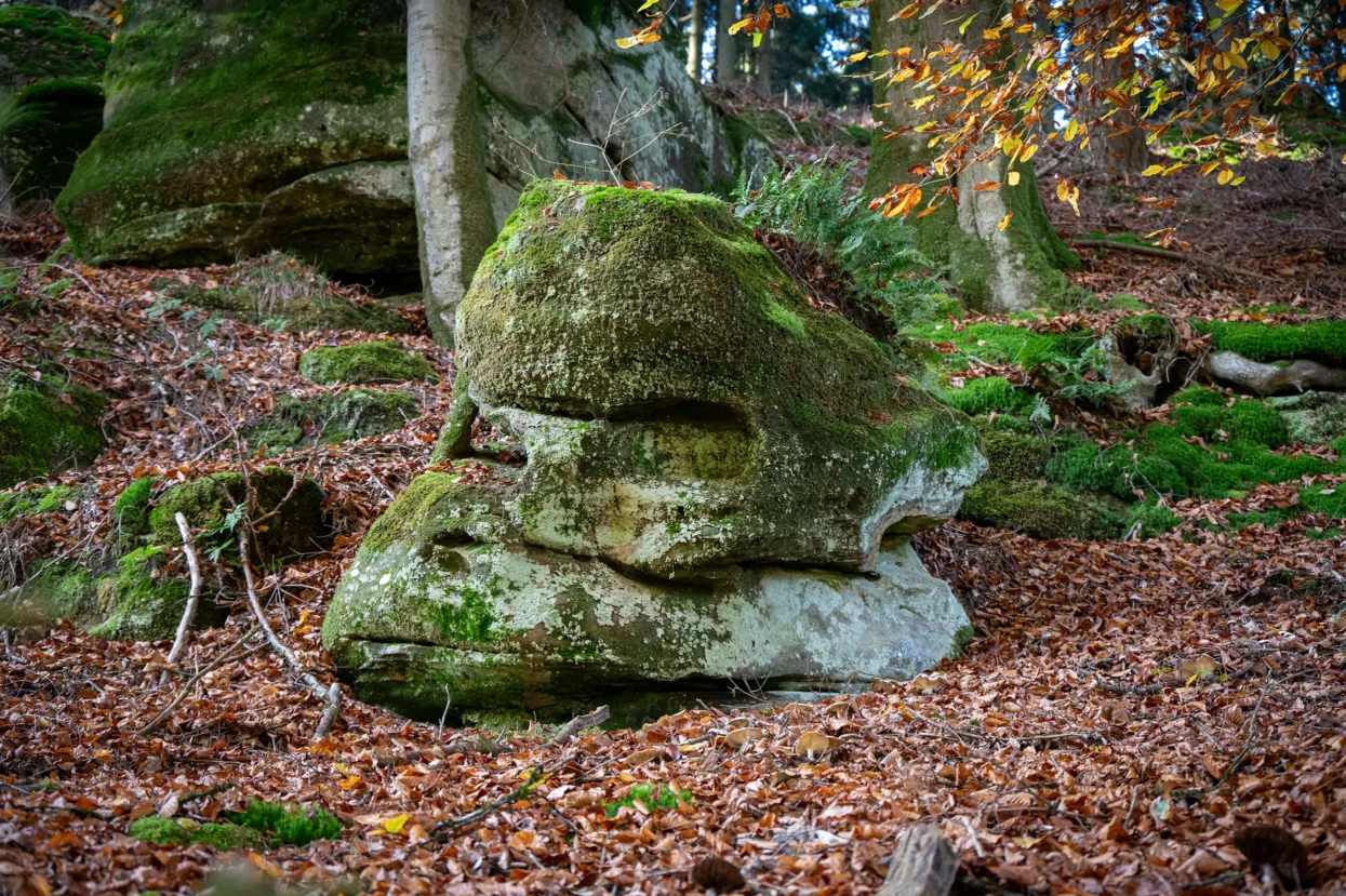 Mullerthal, Gorillarots