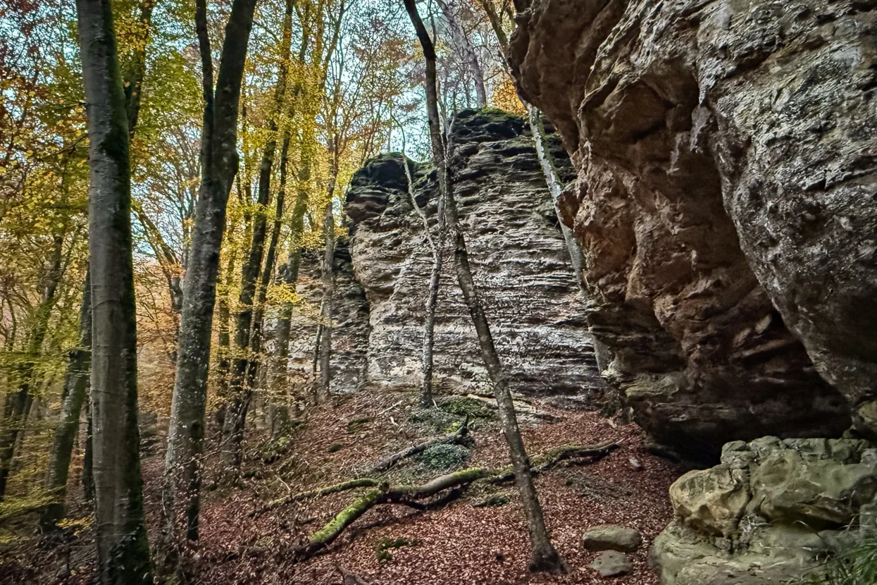 Mullerthal Route 2