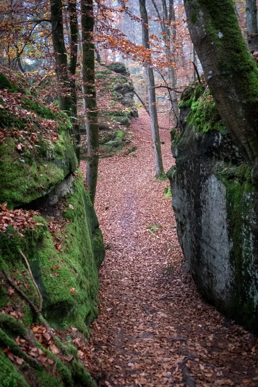 Mullerthal Route 2