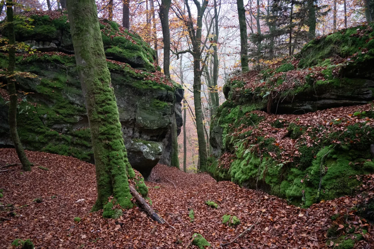 Mullerthal Route 2