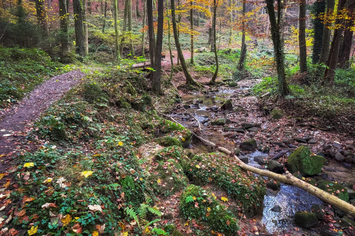 Mullerthal, Lauterburerbaach
