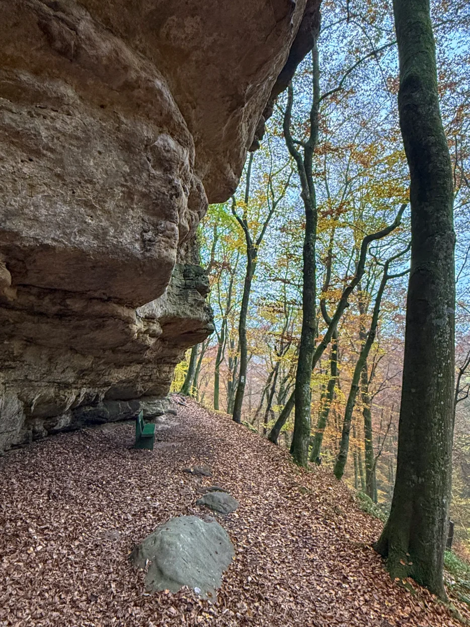 Mullerthal Route 2
