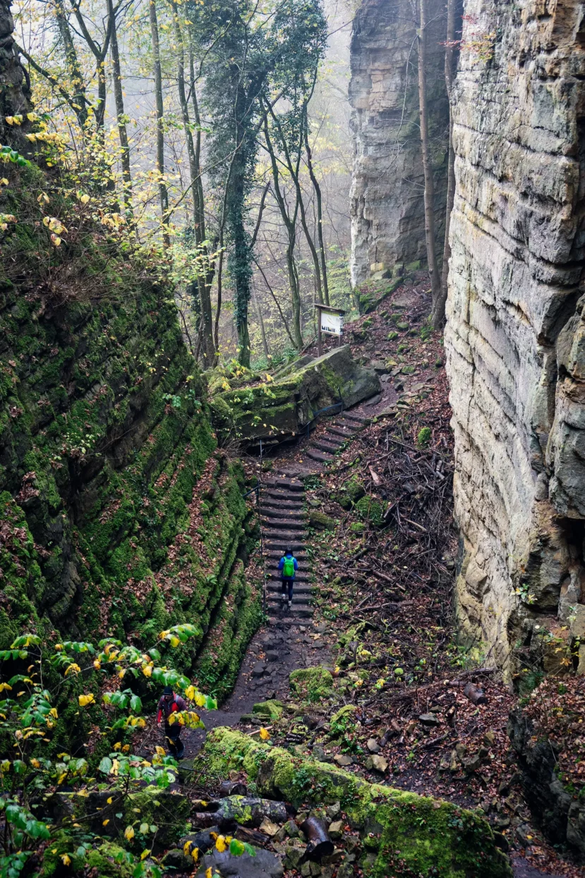 Wollefsschlucht, Mullerthal