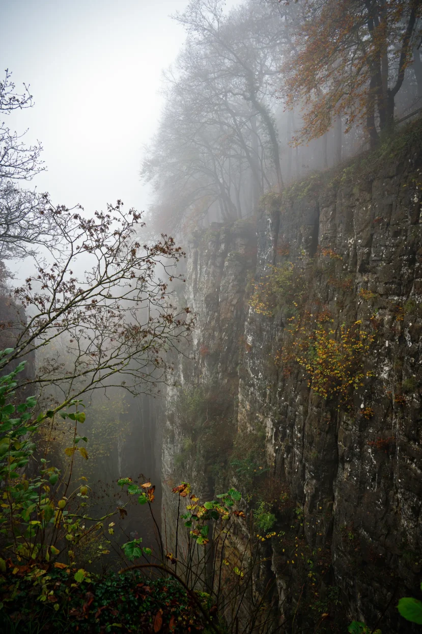 Wollefsschlucht, Mullerthal