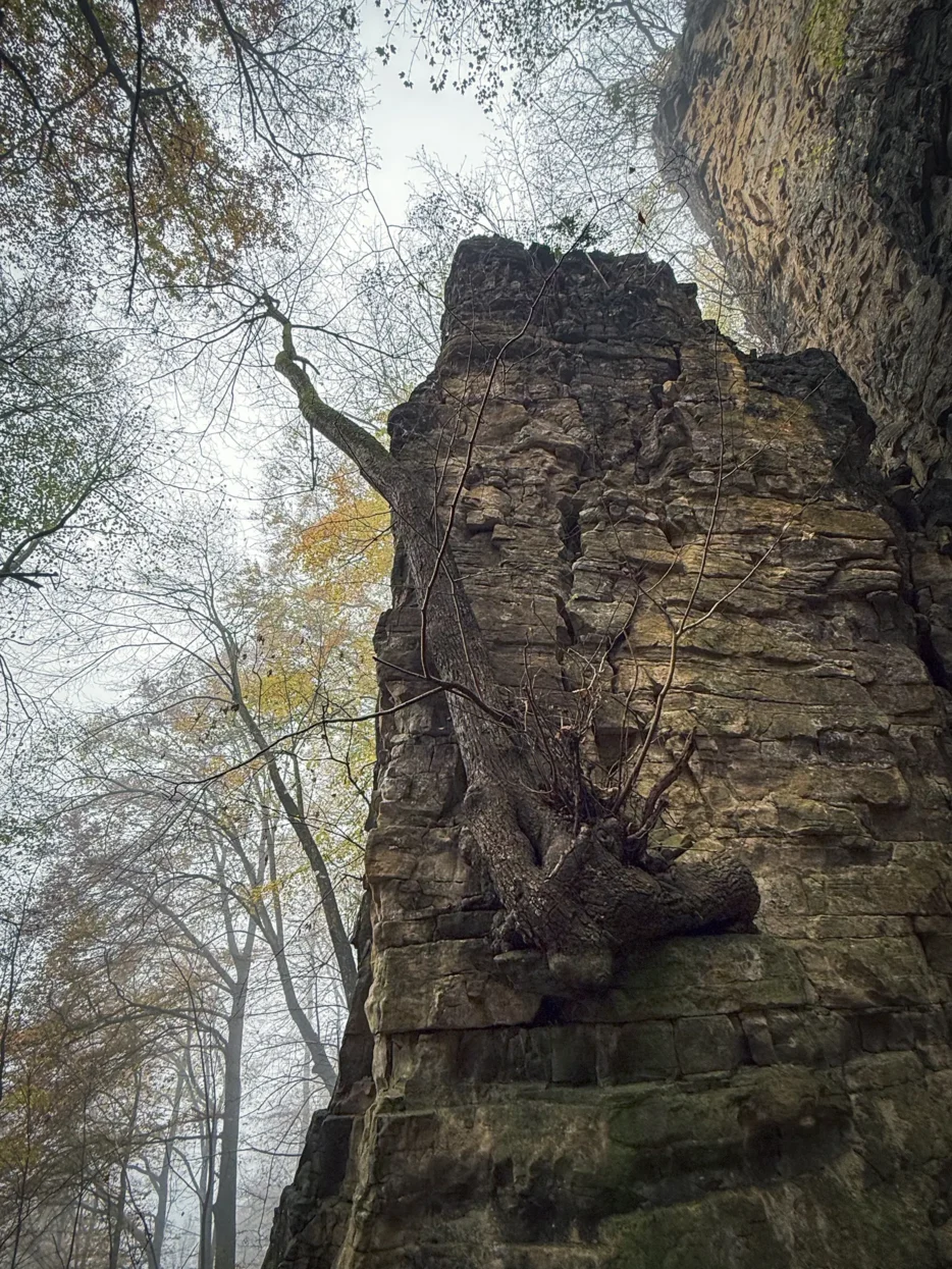 Wollefsschlucht, Mullerthal
