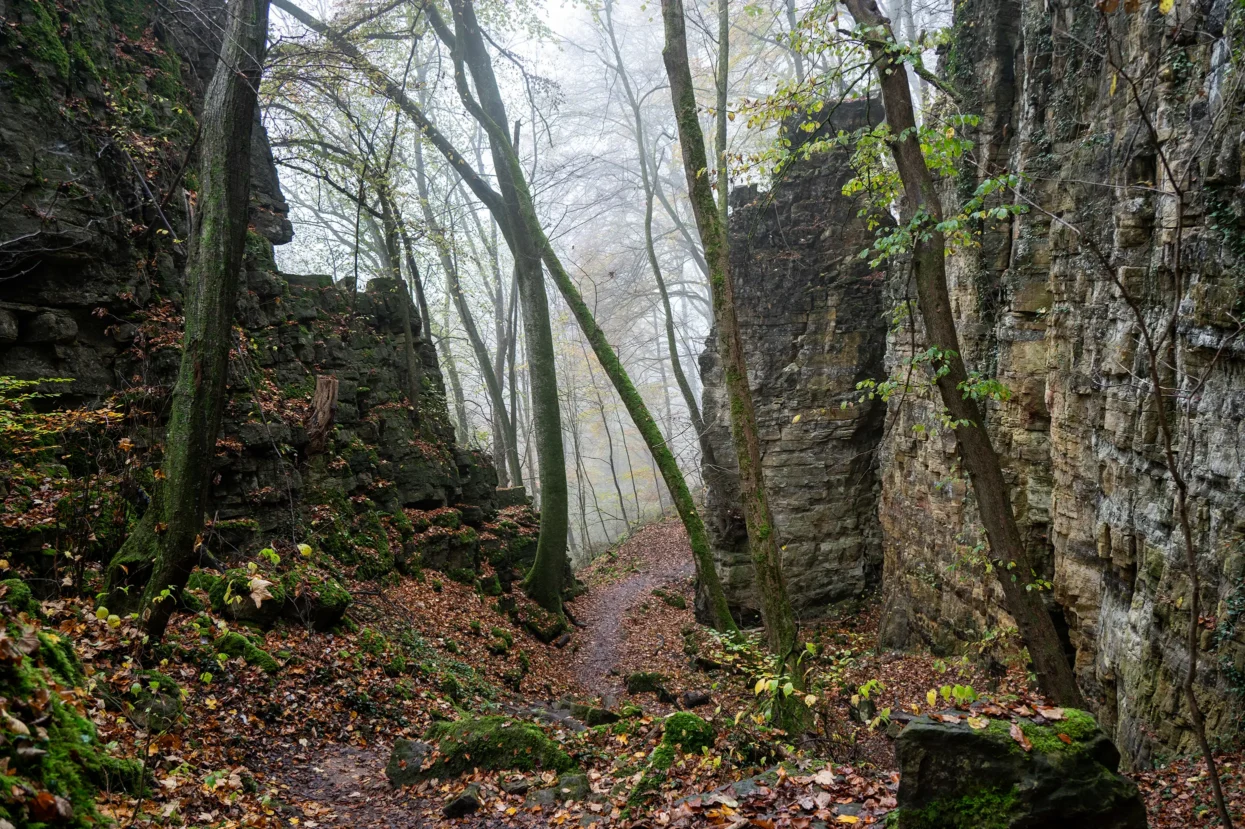 Mullerthal Route 2
