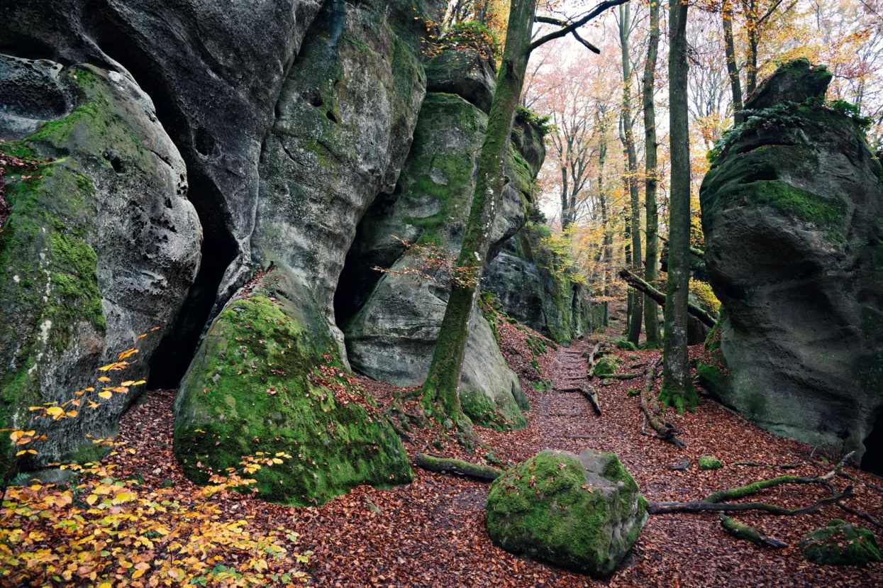 Mullerthal Route 2