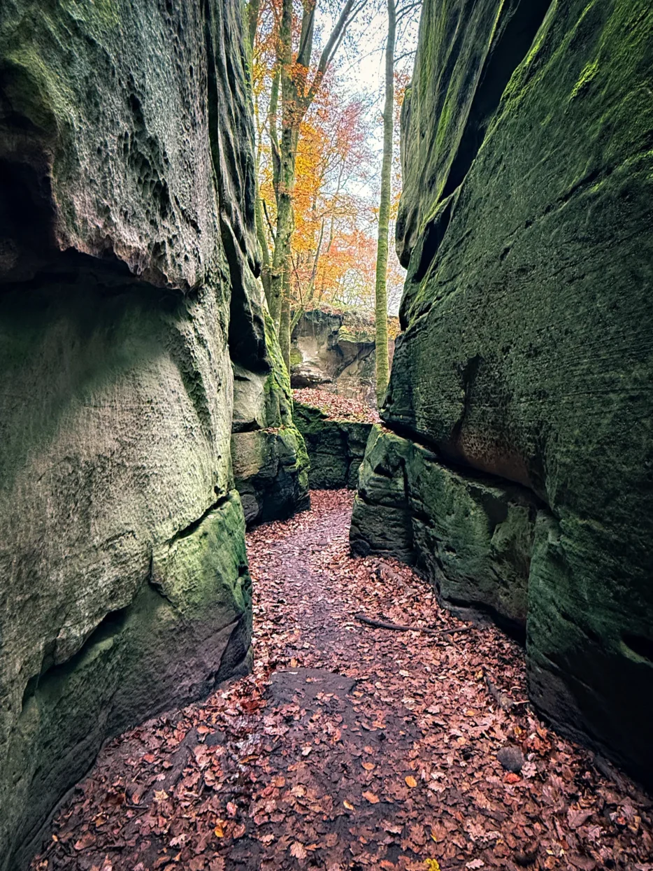 Mullerthal Labyrinth