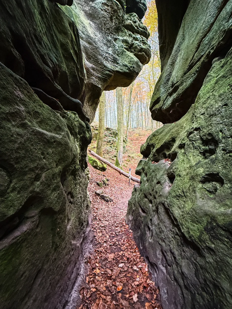 Mullerthal Labyrinth