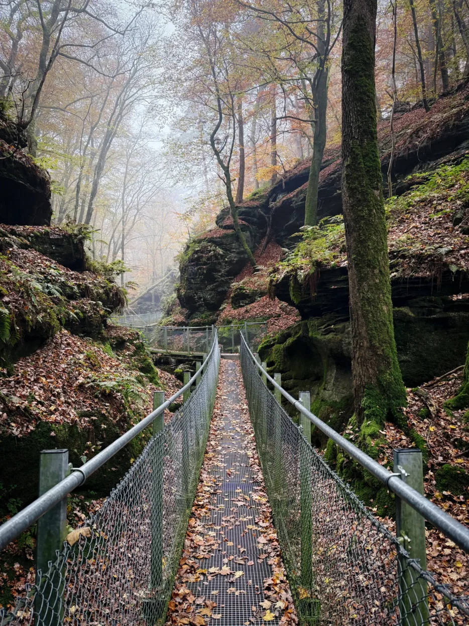 Passerelle Ruetsbësch