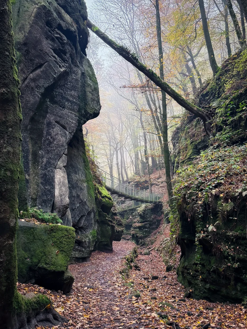 Passerelle Ruetsbësch