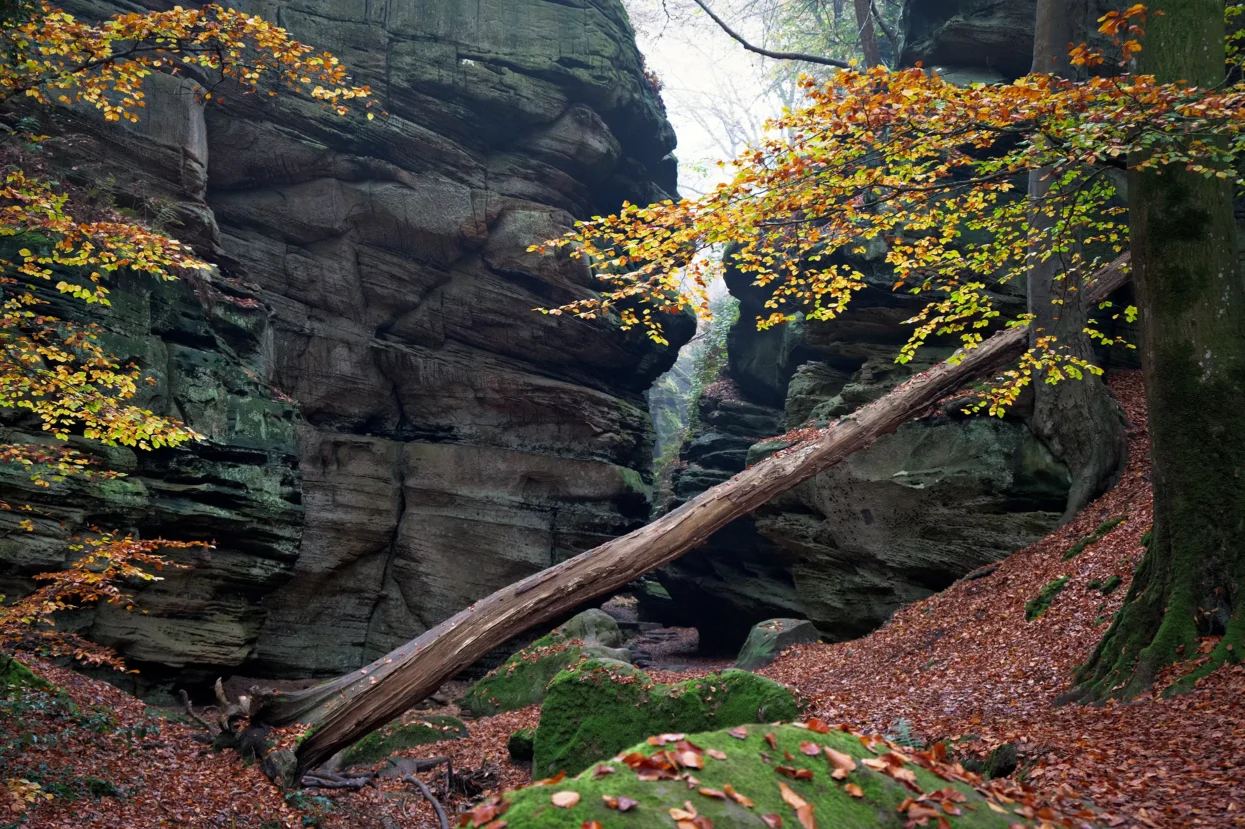 Mullerthal, route 2