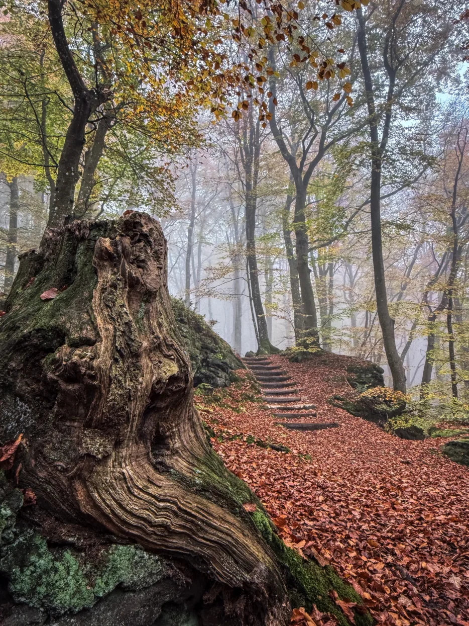 Mullerthal e4 93