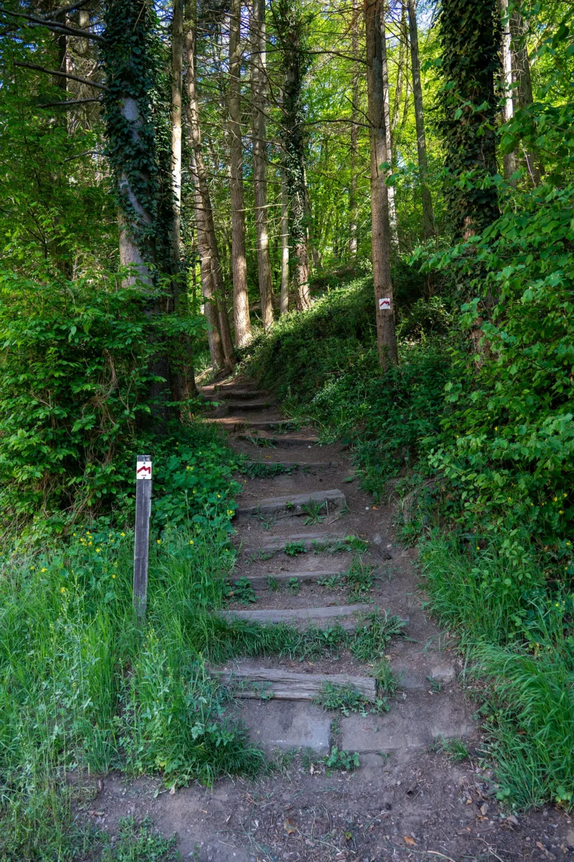 Mullerthal route 3