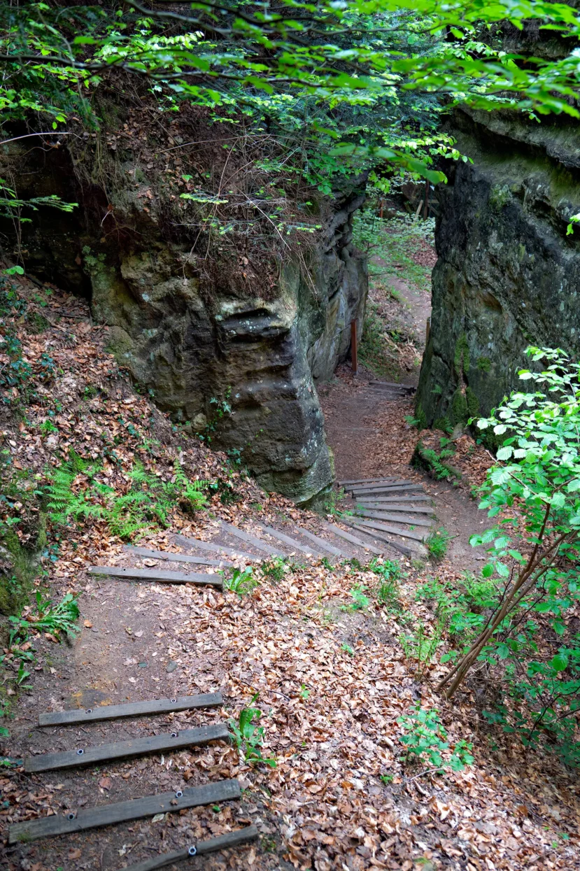 Mullerthal route 3