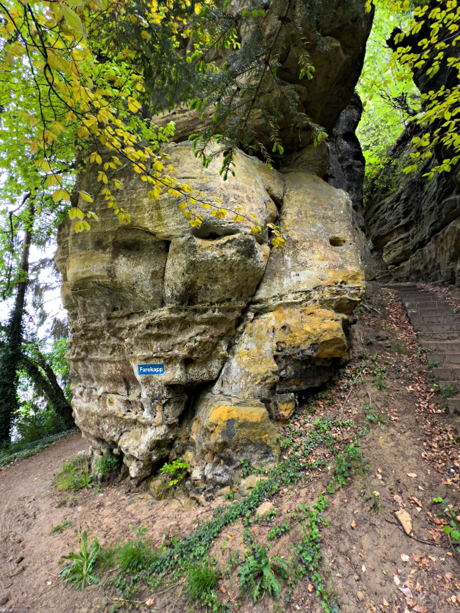 Mullerthal route 3