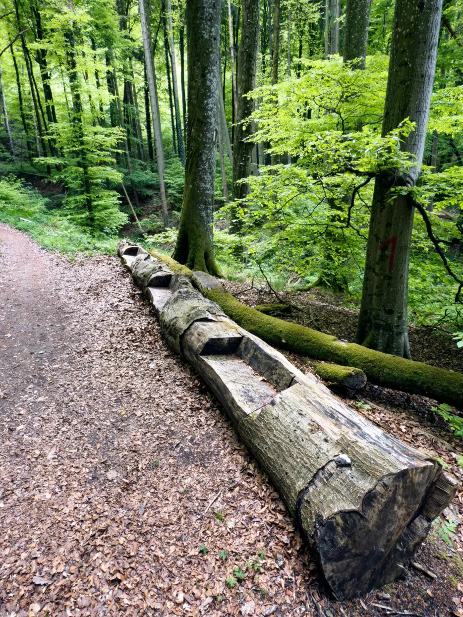 Mullerthal route 3