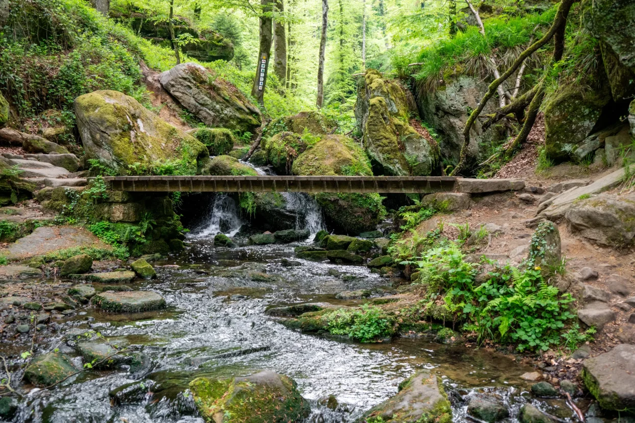 Mullerthal, Hallerbaach