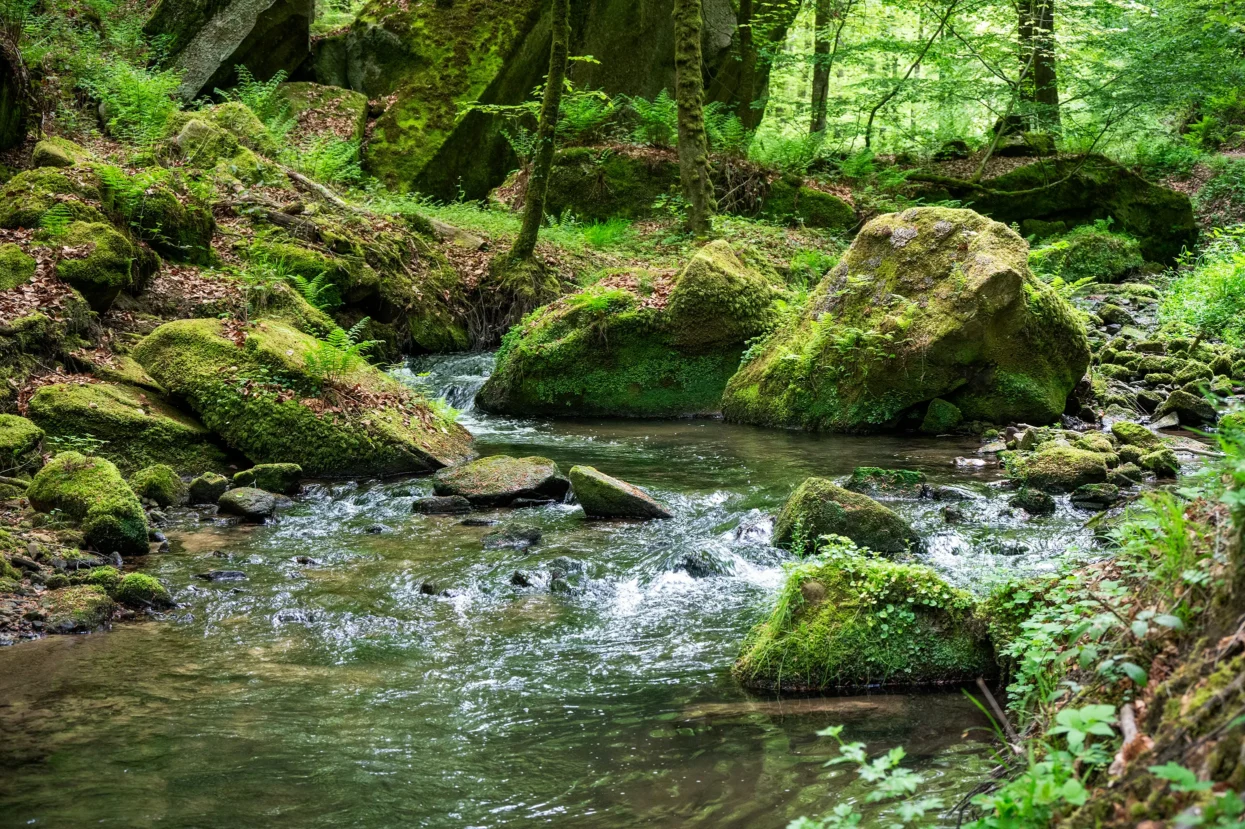 Mullerthal, Haupeschbaach