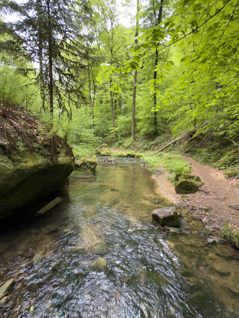 Mullerthal, Hallerbaach