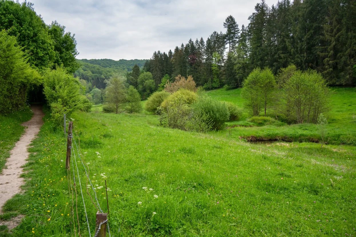 Mullerthal, Hallerbaach dal