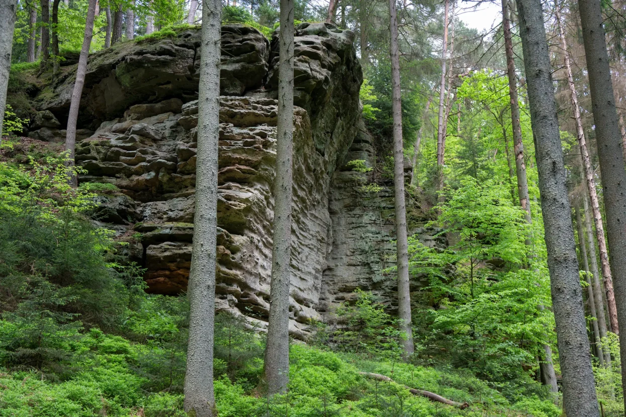 Mullerthal, Sonnenauer
