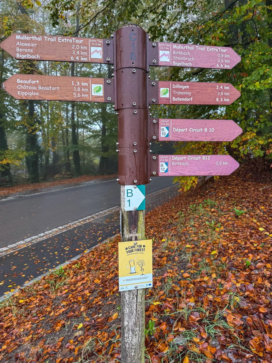 Mullerthal Extra Route B