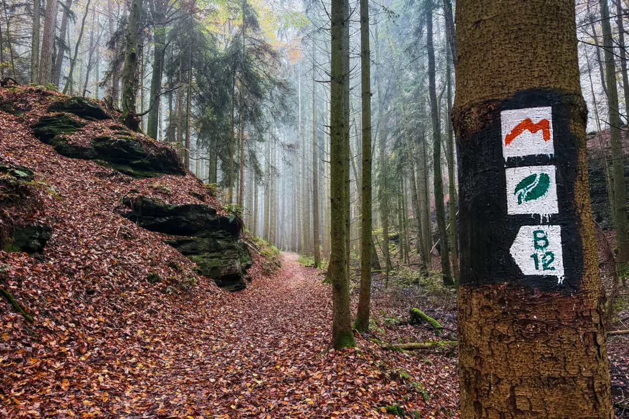 Mullerthal Extra Route B