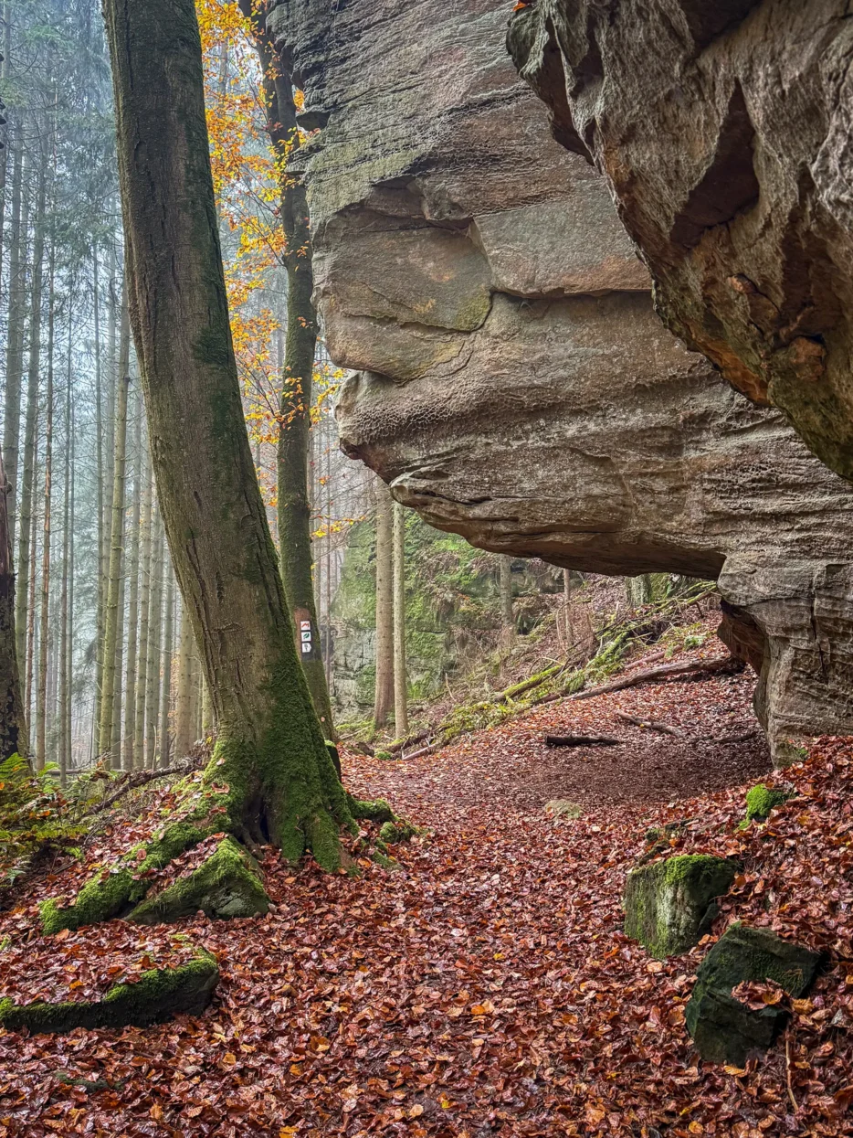Mullerthal Extra Route B